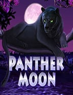 แนะนำวิธีเล่น joker123 net m มือใหม่ก็เข้าใจง่าย